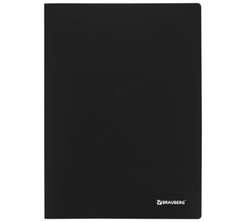 Папка 10 вкладышей BRAUBERG 
