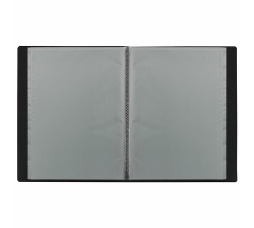 Папка 10 вкладышей BRAUBERG 