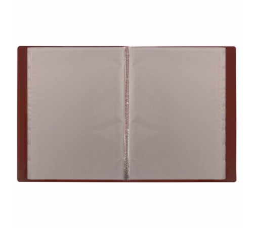 Папка 10 вкладышей BRAUBERG 