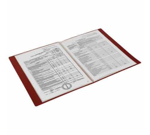 Папка 10 вкладышей BRAUBERG 