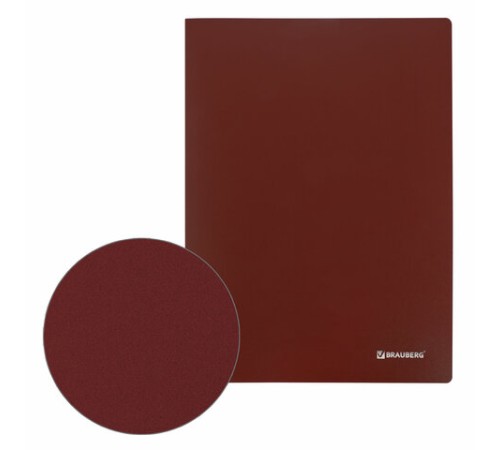 Папка 10 вкладышей BRAUBERG 