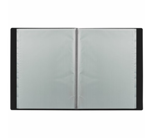 Папка 40 вкладышей BRAUBERG 