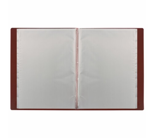 Папка 40 вкладышей BRAUBERG 