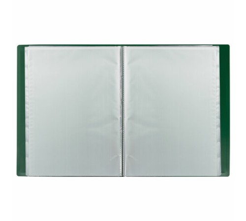 Папка 60 вкладышей BRAUBERG 