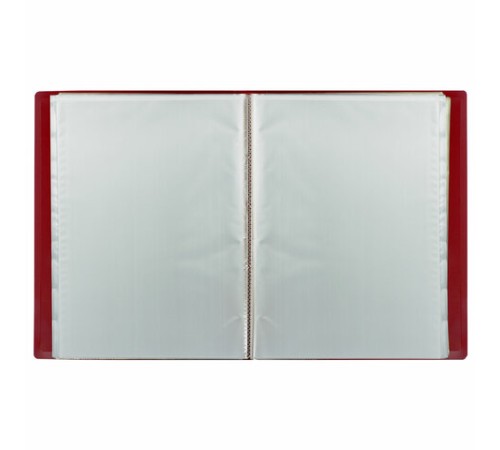 Папка 80 вкладышей BRAUBERG 