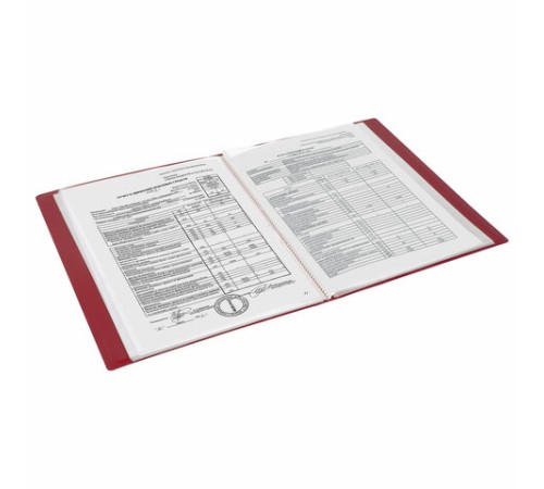 Папка 100 вкладышей BRAUBERG 