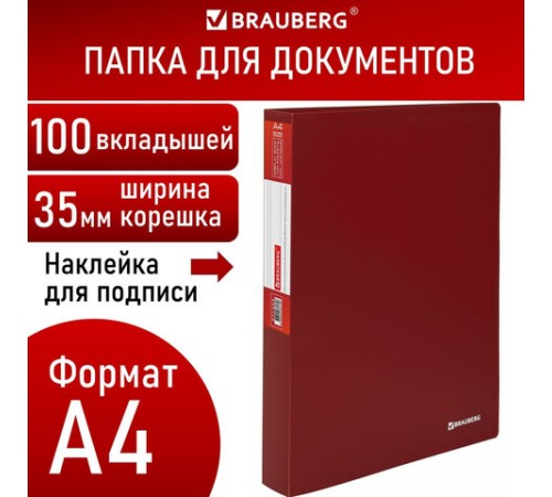 Папка 100 вкладышей BRAUBERG 