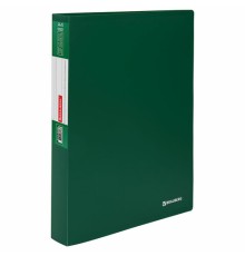 Папка 100 вкладышей BRAUBERG 