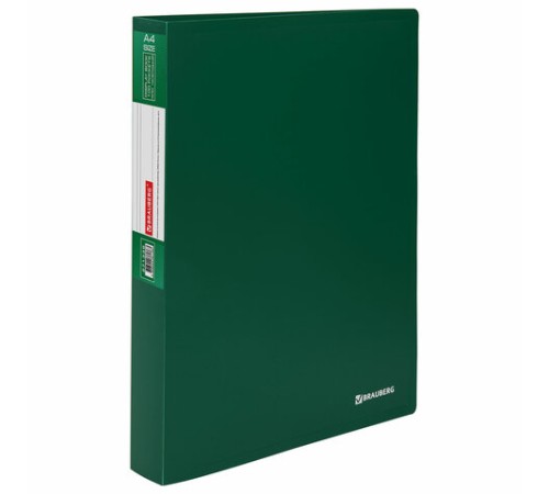 Папка 100 вкладышей BRAUBERG 