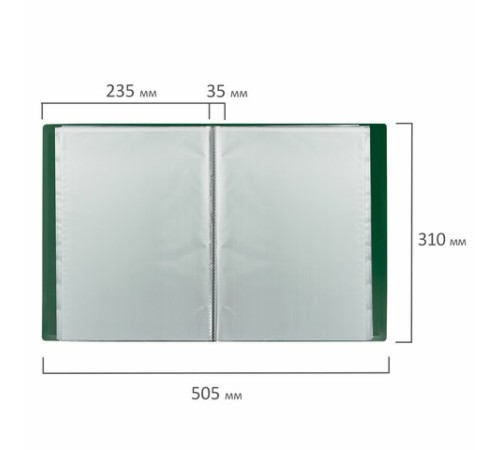 Папка 100 вкладышей BRAUBERG 