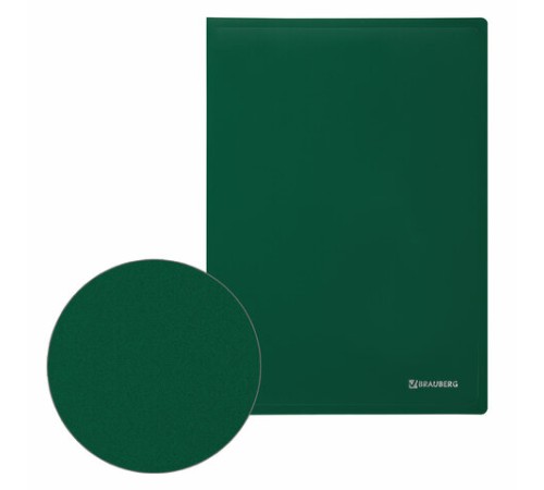 Папка 100 вкладышей BRAUBERG 