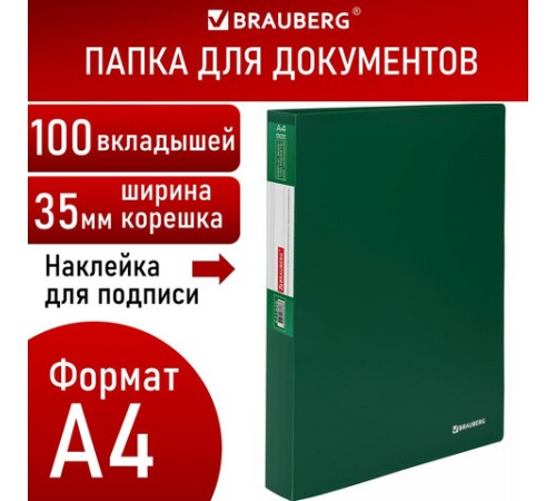 Папка 100 вкладышей BRAUBERG 