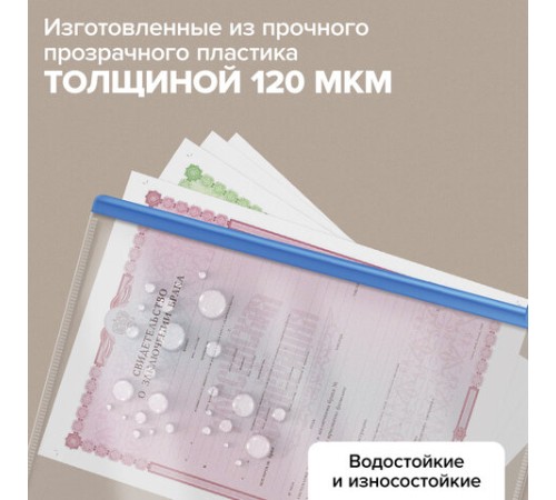 Папка-конверт СУПЕР КОМПЛЕКТ на молнии, 12 штук, А4 (335х238 мм), BRAUBERG, 271346