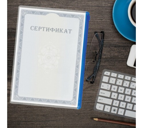 Папка-конверт СУПЕР КОМПЛЕКТ на молнии, 12 штук, А4 (335х238 мм), BRAUBERG, 271346