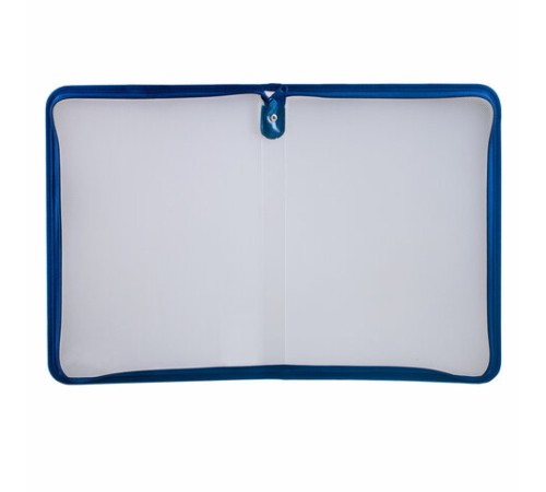 Папка для документов и тетрадей на молнии пластиковая BRAUBERG А4, 320х230 мм, прозрачная, 271713