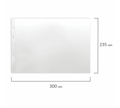 Папки-файлы перфорированные горизонтальной ориентации А4 BRAUBERG, КОМПЛЕКТ 100 шт., 35 мкм, 271829