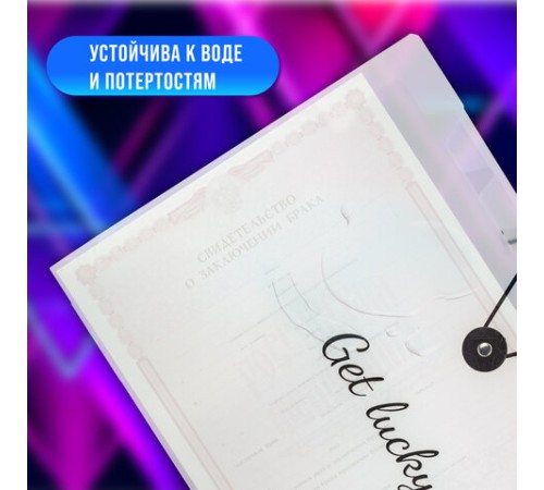 Папка-органайзер на резинке 8 отделений, BRAUBERG 
