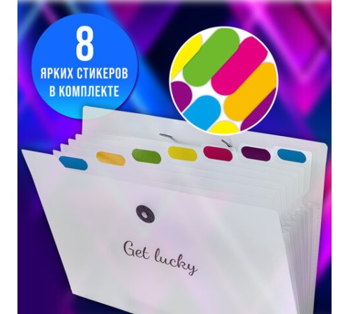 Папка-органайзер на резинке 8 отделений, BRAUBERG 