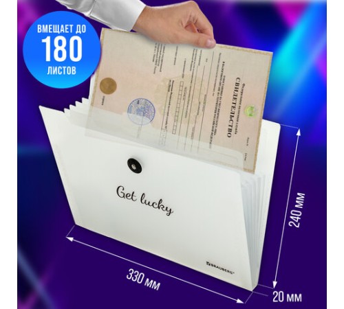 Папка-органайзер на резинке 8 отделений, BRAUBERG 