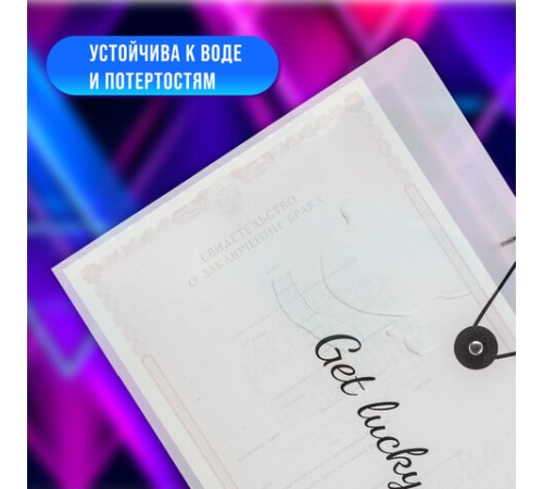 Папка-органайзер на резинке 12 отделений, BRAUBERG 