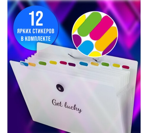 Папка-органайзер на резинке 12 отделений, BRAUBERG 