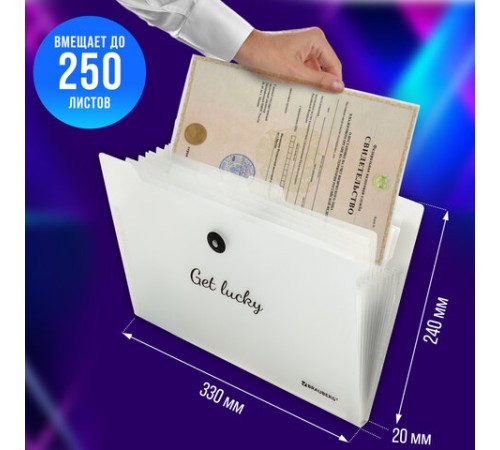 Папка-органайзер на резинке 12 отделений, BRAUBERG 