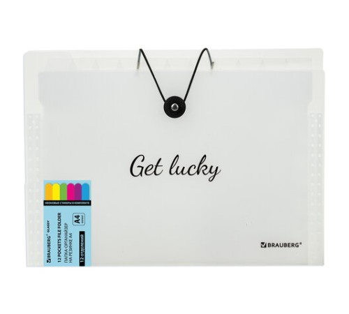 Папка-органайзер на резинке 12 отделений, BRAUBERG 