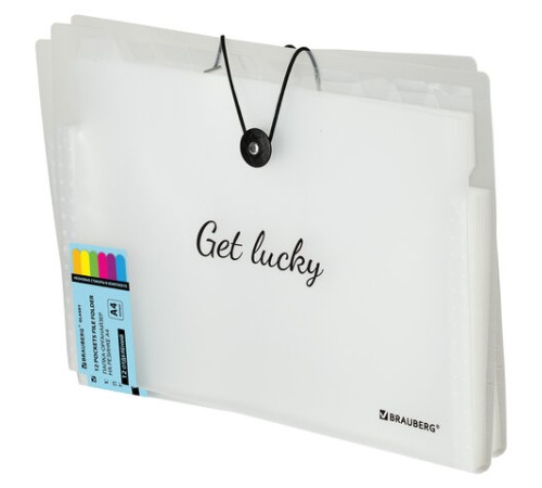 Папка-органайзер на резинке 12 отделений, BRAUBERG 