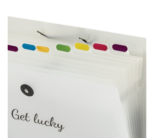 Папка-органайзер на резинке 12 отделений, BRAUBERG 