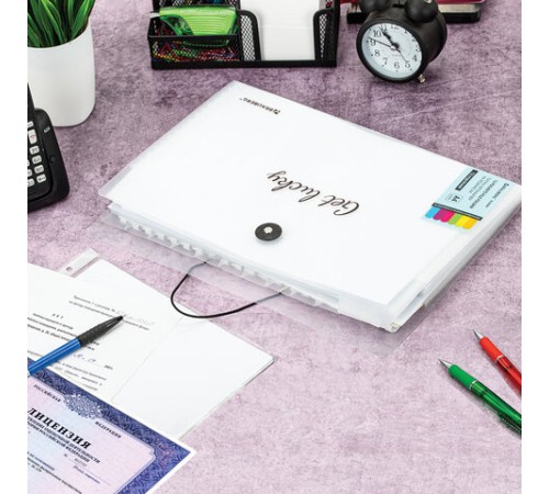 Папка-органайзер на резинке 12 отделений, BRAUBERG 