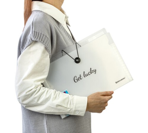 Папка-органайзер на резинке 12 отделений, BRAUBERG 