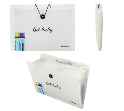 Папка-органайзер на резинке 12 отделений, BRAUBERG 