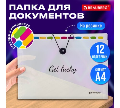 Папка-органайзер на резинке 12 отделений, BRAUBERG 