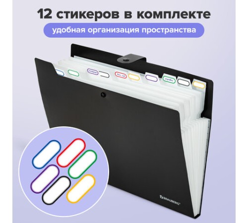 Папка-органайзер на кнопке 12 отделений, BRAUBERG 
