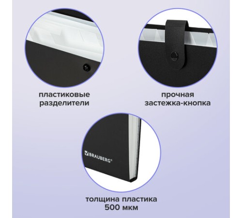 Папка-органайзер на кнопке 12 отделений, BRAUBERG 
