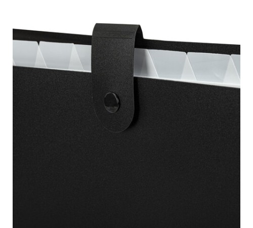 Папка-органайзер на кнопке 12 отделений, BRAUBERG 