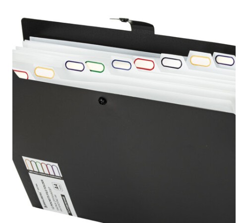 Папка-органайзер на кнопке 12 отделений, BRAUBERG 