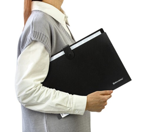 Папка-органайзер на кнопке 12 отделений, BRAUBERG 