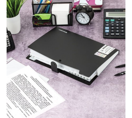 Папка-органайзер на кнопке 12 отделений, BRAUBERG 