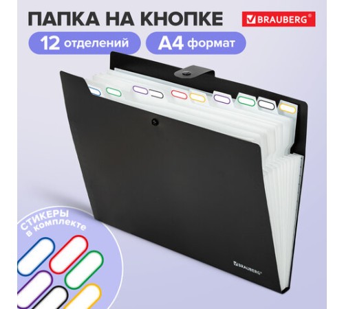 Папка-органайзер на кнопке 12 отделений, BRAUBERG 