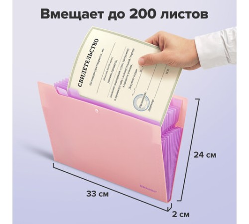 Папка-органайзер на кнопке 12 отделений, BRAUBERG 