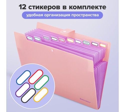 Папка-органайзер на кнопке 12 отделений, BRAUBERG 