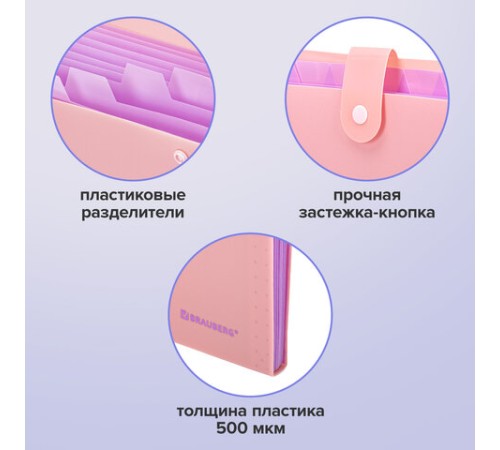 Папка-органайзер на кнопке 12 отделений, BRAUBERG 