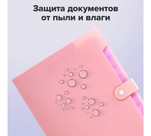 Папка-органайзер на кнопке 12 отделений, BRAUBERG 