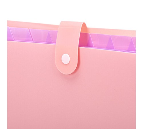 Папка-органайзер на кнопке 12 отделений, BRAUBERG 