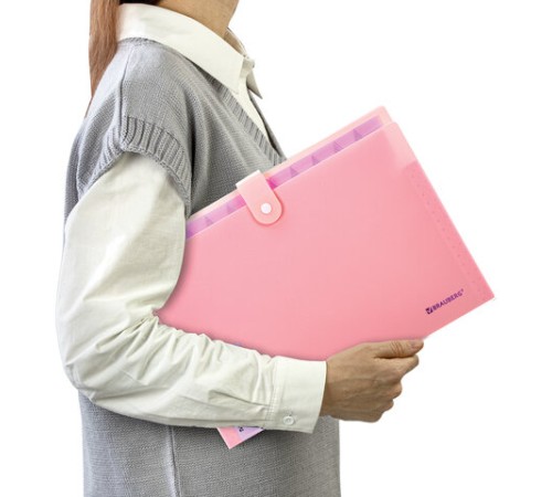 Папка-органайзер на кнопке 12 отделений, BRAUBERG 