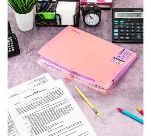 Папка-органайзер на кнопке 12 отделений, BRAUBERG 