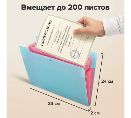 Папка-органайзер на кнопке 12 отделений, BRAUBERG 