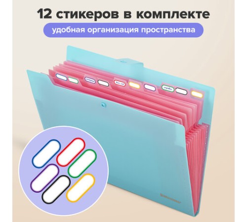 Папка-органайзер на кнопке 12 отделений, BRAUBERG 