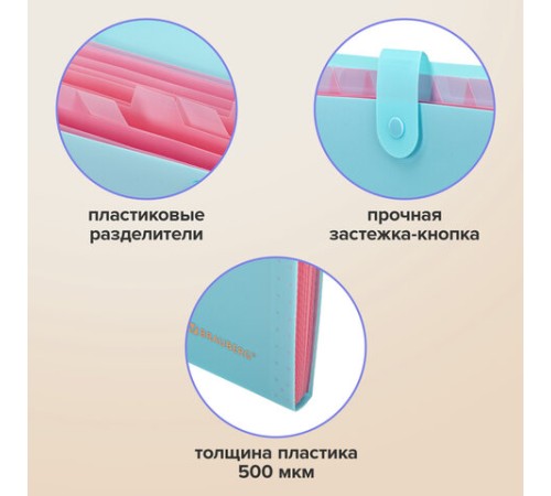 Папка-органайзер на кнопке 12 отделений, BRAUBERG 